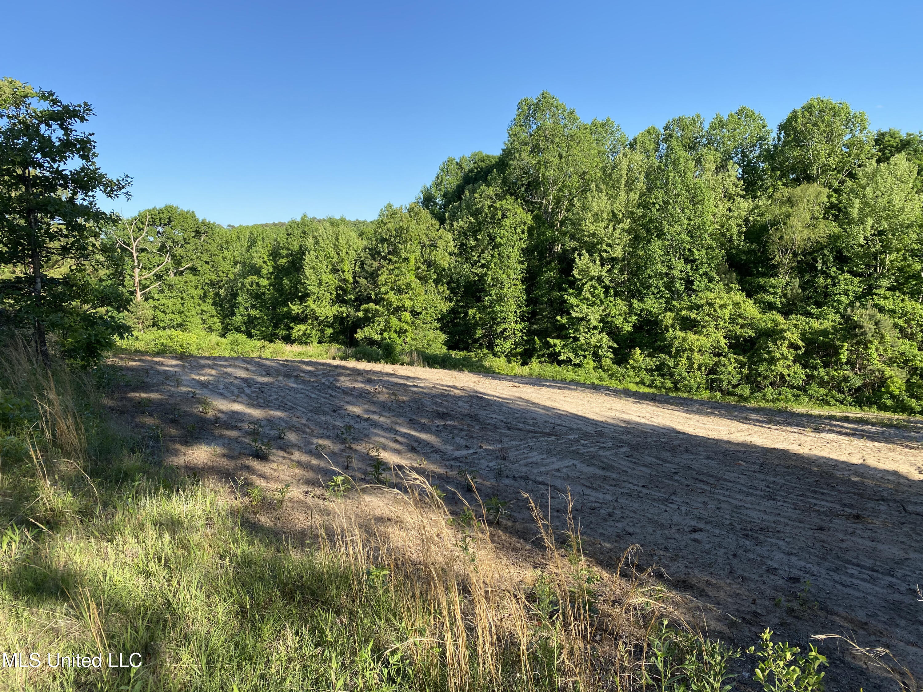 271 Winborn Tower Road Potts Camp, MS 38659 - Photo 57 of 66 Winborn 10