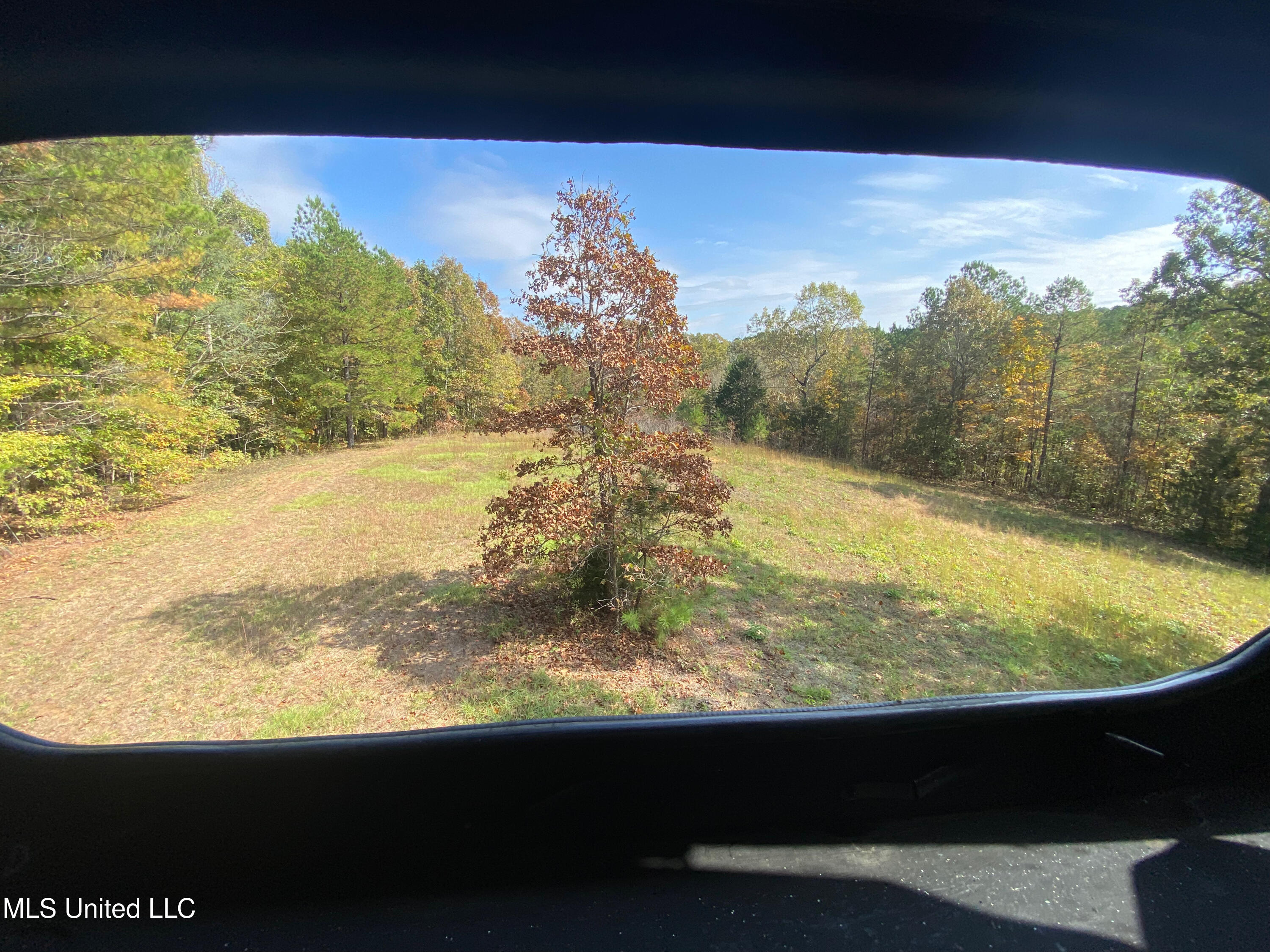 271 Winborn Tower Road Potts Camp, MS 38659 - Photo 58 of 66 Winborn 11