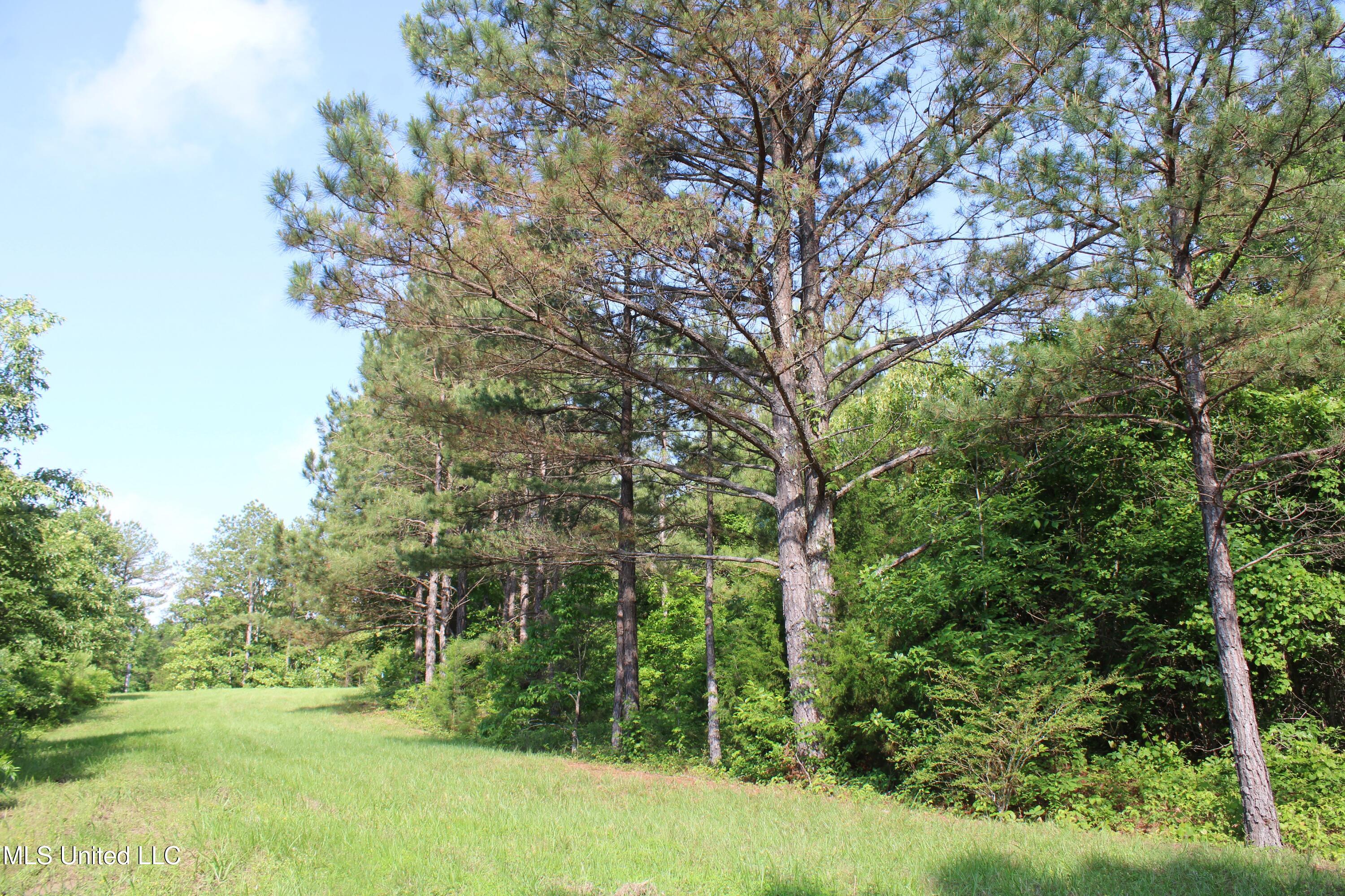 271 Winborn Tower Road Potts Camp, MS 38659 - Photo 59 of 66 IMG_6083