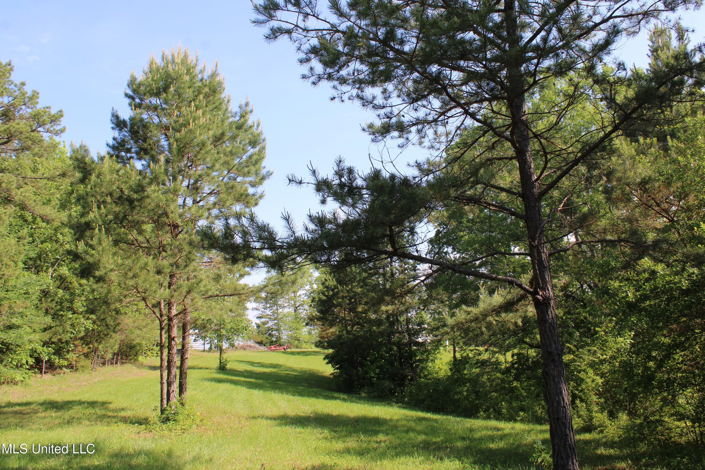 271 Winborn Tower Road Potts Camp, MS 38659 - Photo 60 of 66 IMG_6093
