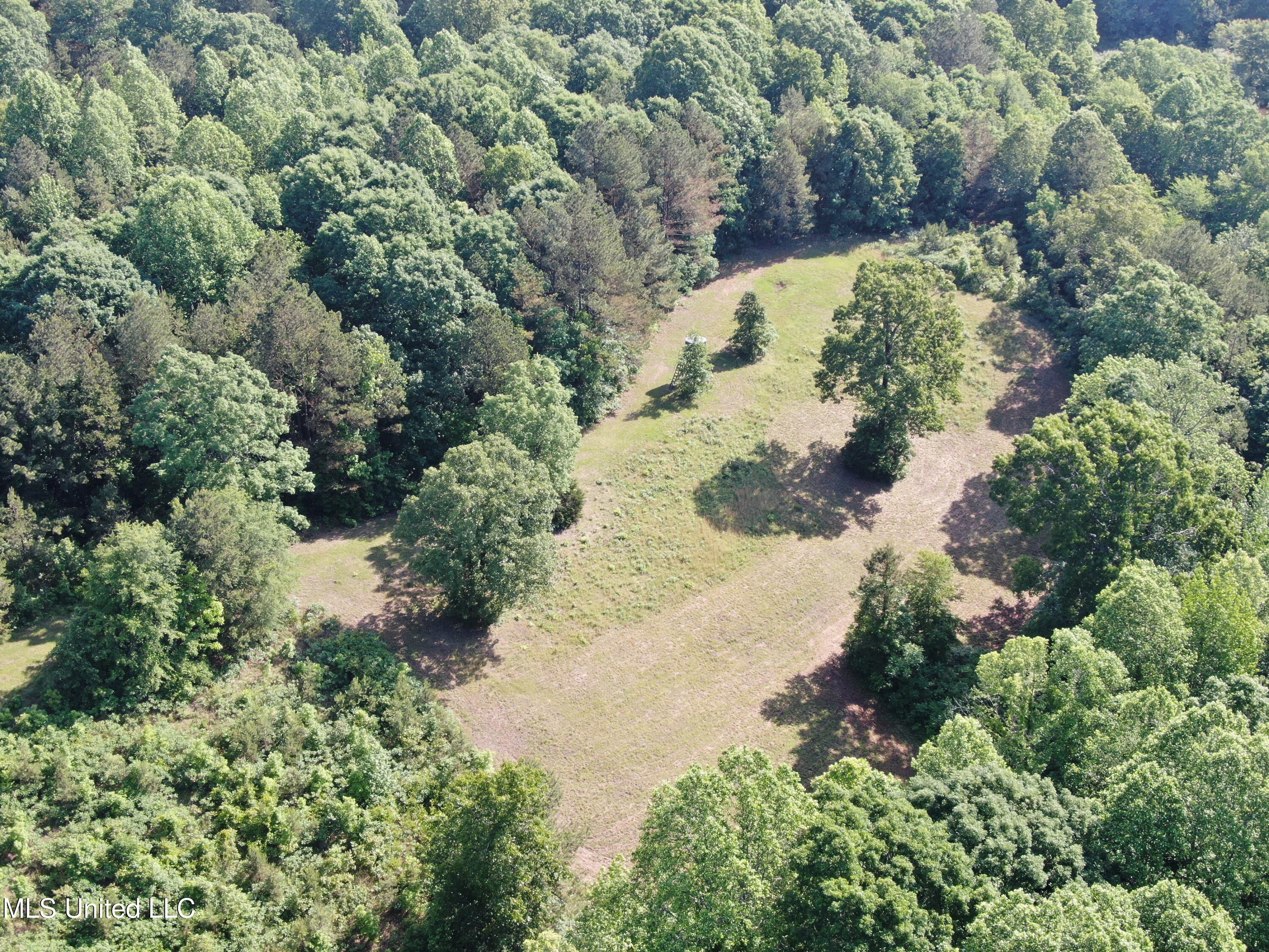 271 Winborn Tower Road Potts Camp, MS 38659 - Photo 6 of 66 DJI_0559