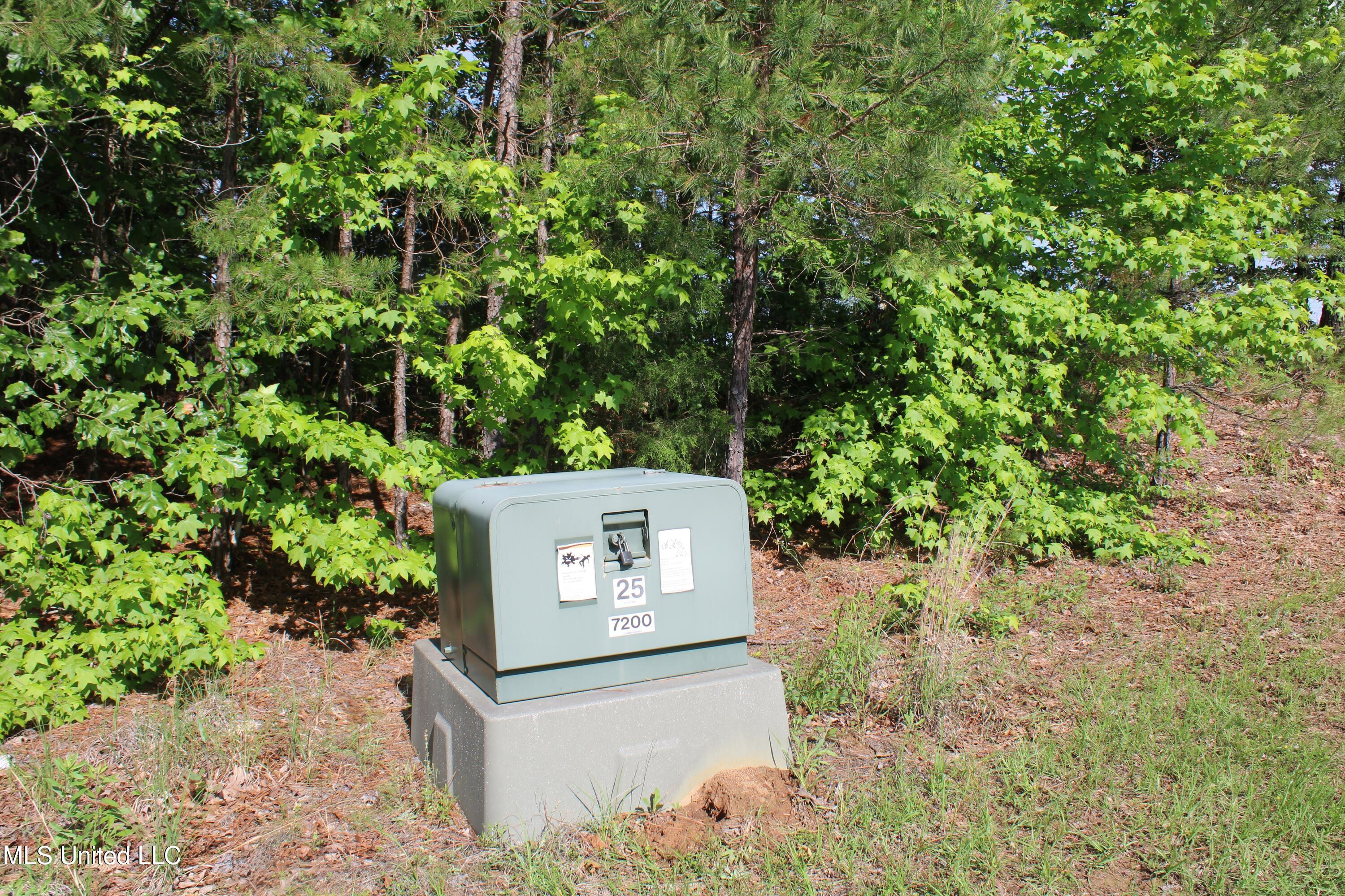 271 Winborn Tower Road Potts Camp, MS 38659 - Photo 61 of 66 IMG_6094