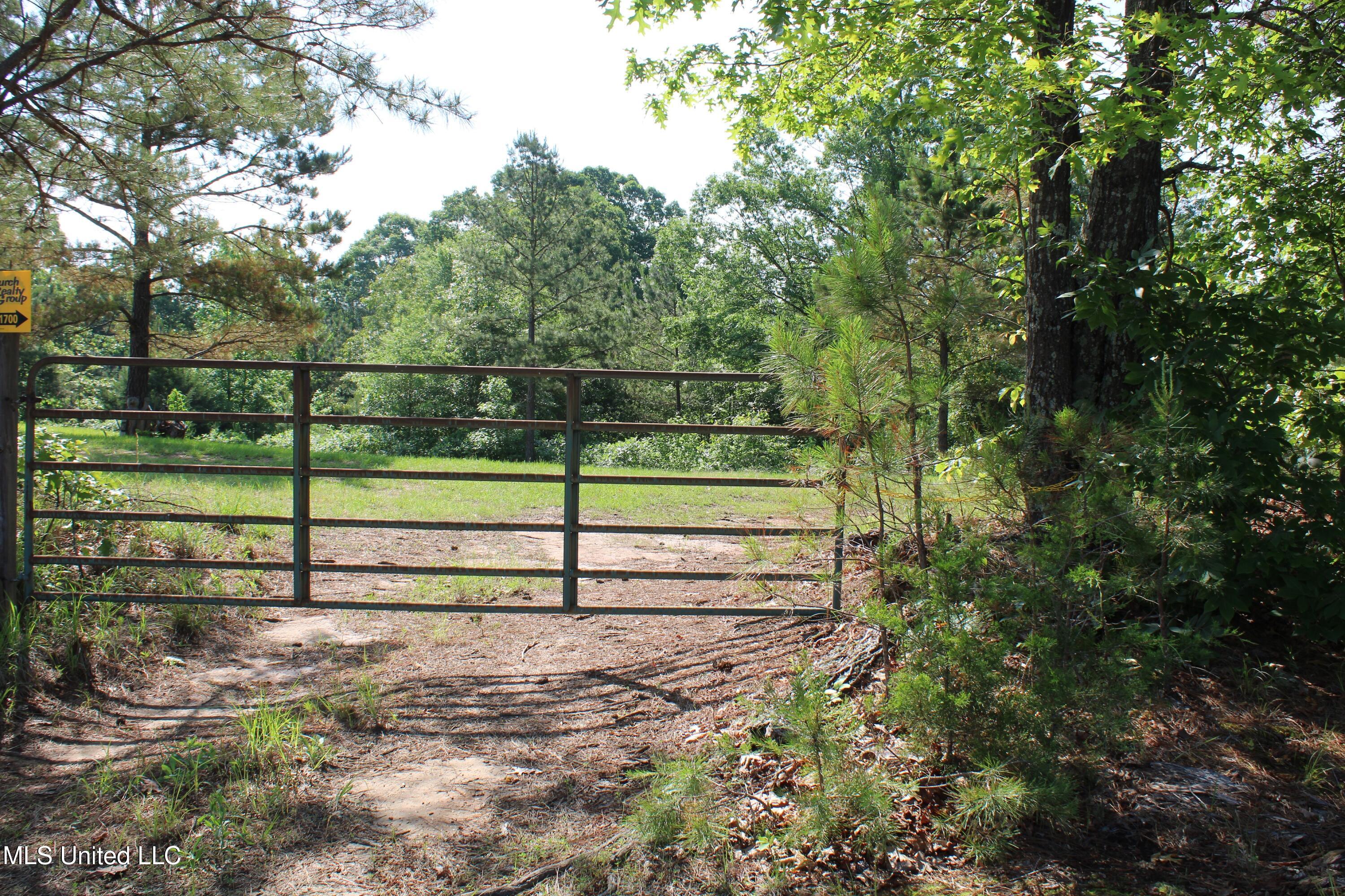 271 Winborn Tower Road Potts Camp, MS 38659 - Photo 62 of 66 IMG_6096