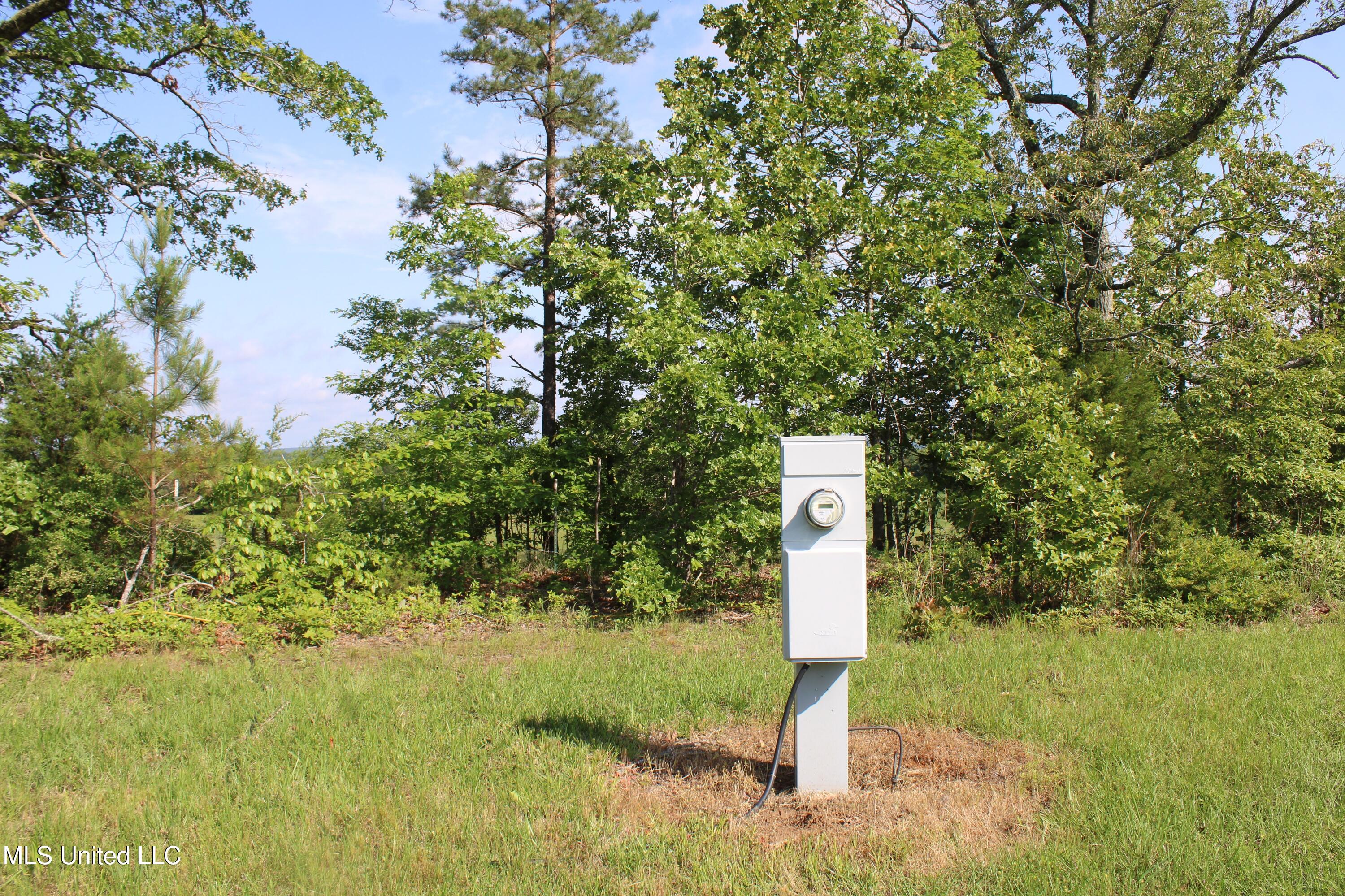 271 Winborn Tower Road Potts Camp, MS 38659 - Photo 63 of 66 IMG_6098