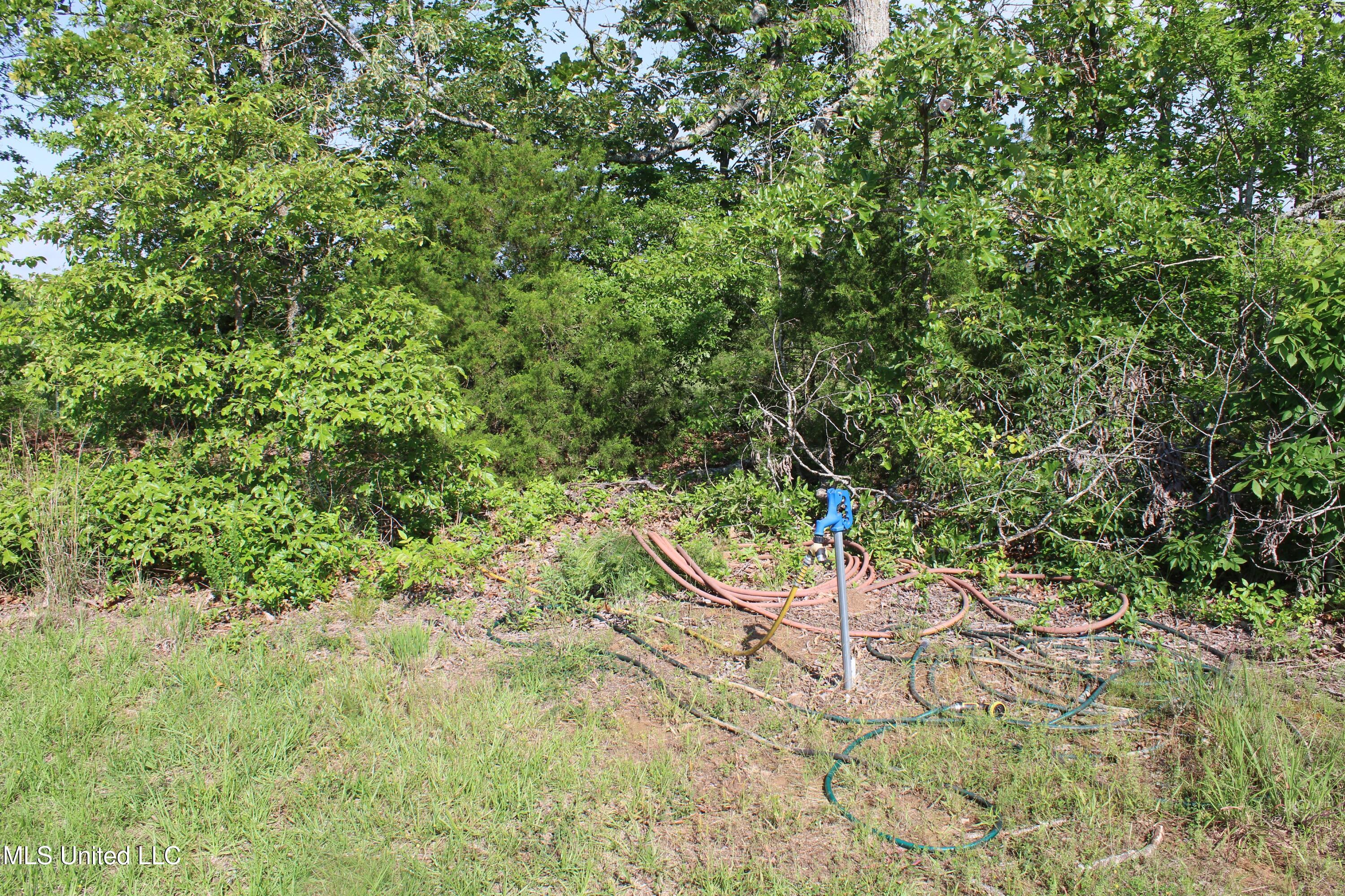 271 Winborn Tower Road Potts Camp, MS 38659 - Photo 64 of 66 IMG_6101