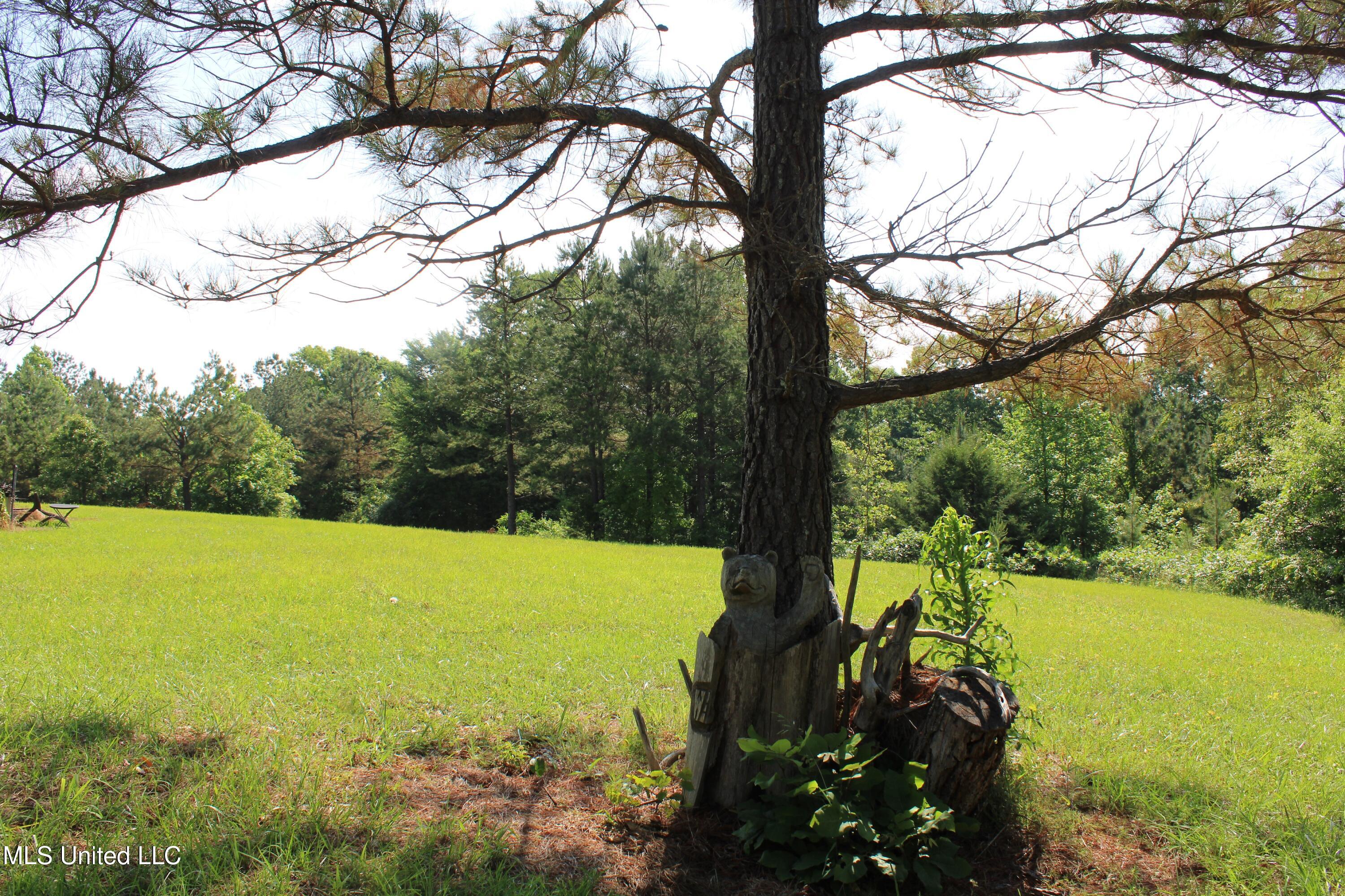 271 Winborn Tower Road Potts Camp, MS 38659 - Photo 65 of 66 IMG_6105