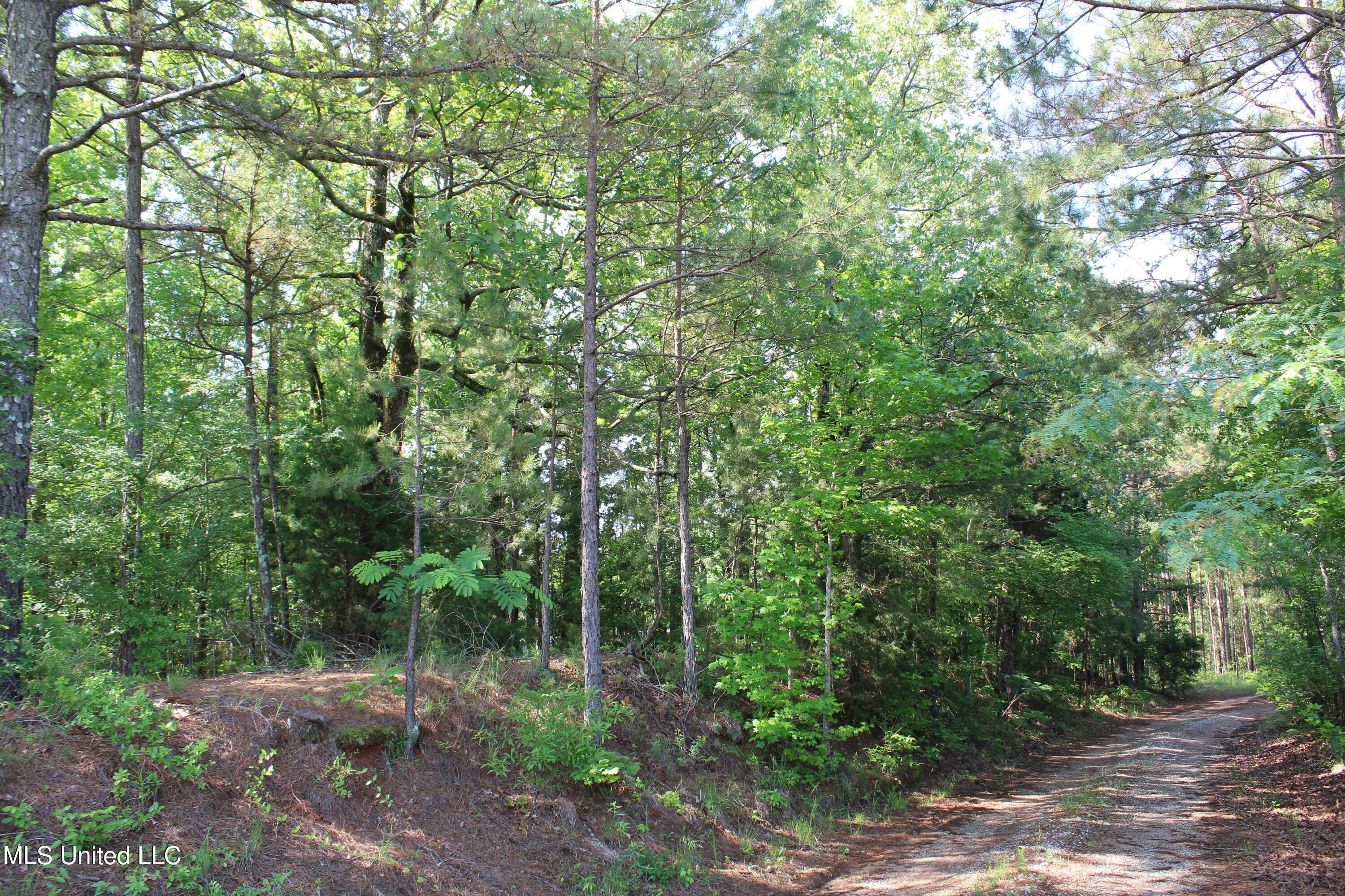 271 Winborn Tower Road Potts Camp, MS 38659 - Photo 66 of 66 IMG_6108