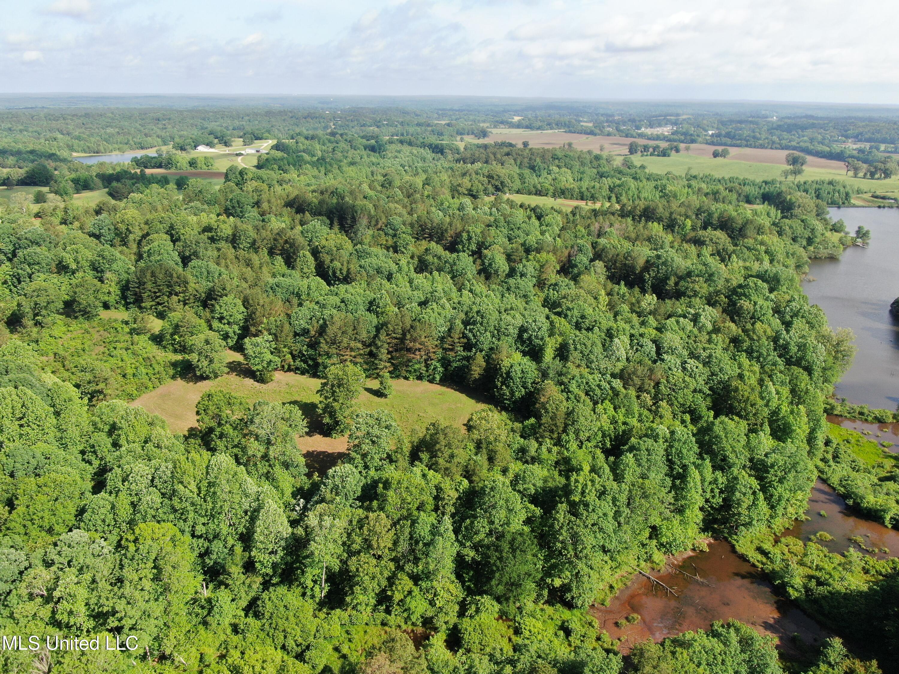 271 Winborn Tower Road Potts Camp, MS 38659 - Photo 7 of 66 DJI_0561