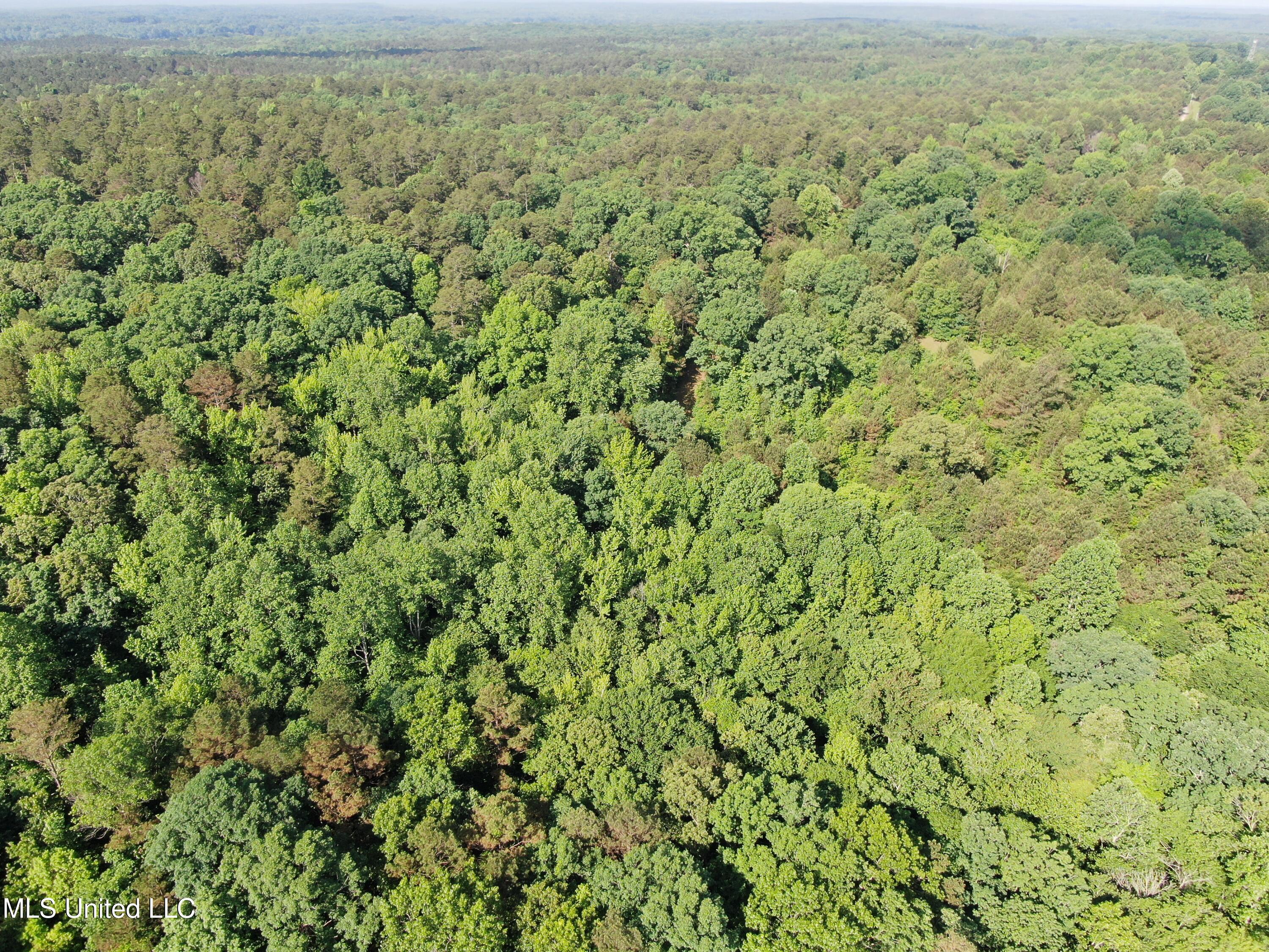 271 Winborn Tower Road Potts Camp, MS 38659 - Photo 8 of 66 DJI_0562