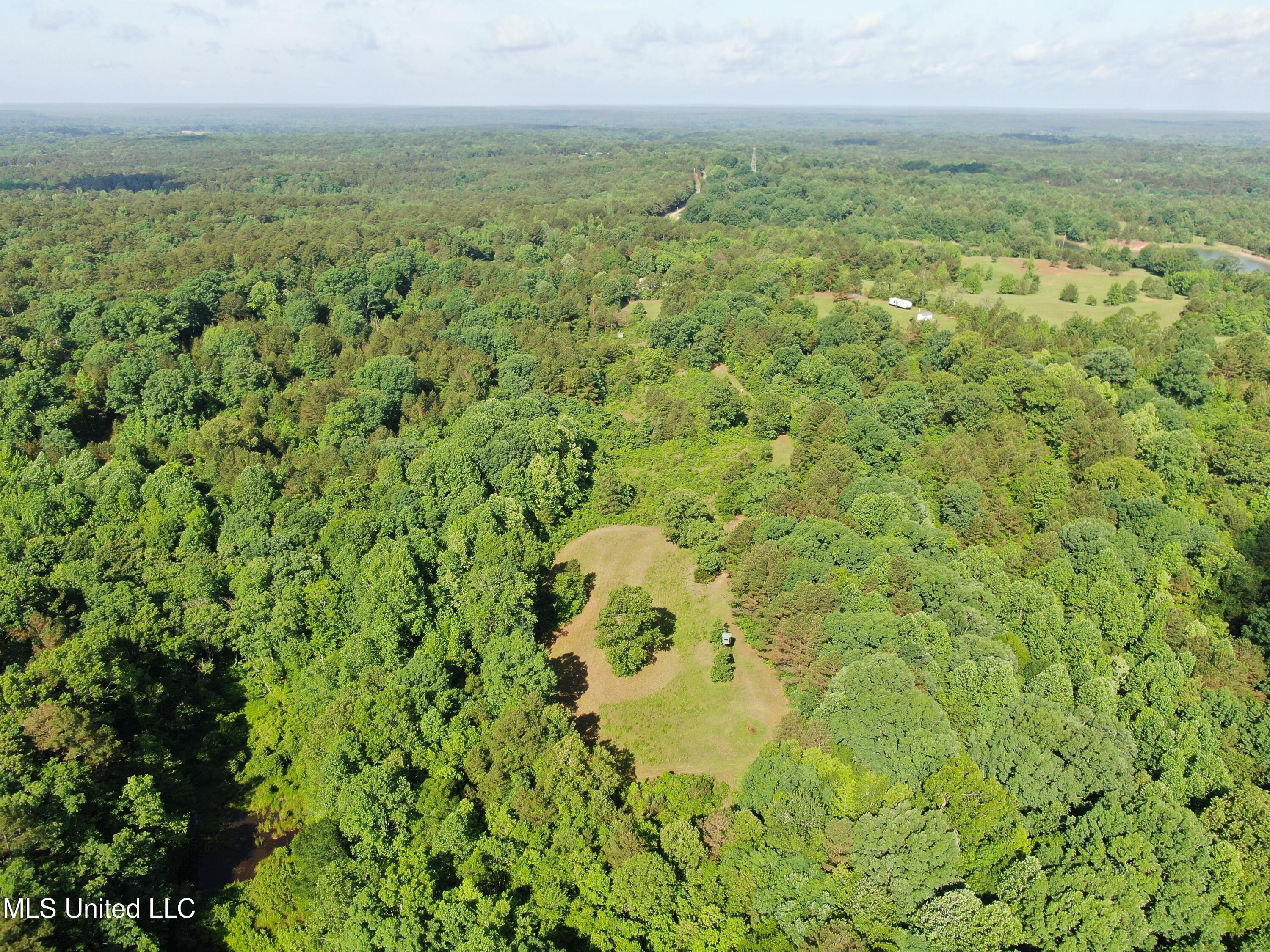 271 Winborn Tower Road Potts Camp, MS 38659 - Photo 10 of 66 DJI_0564