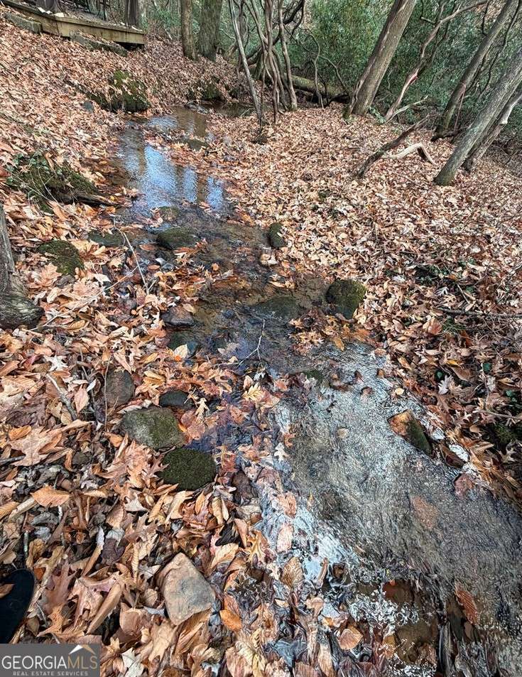 811 Magnums Trail Blue Ridge, GA 30513 - Photo 10 of 58