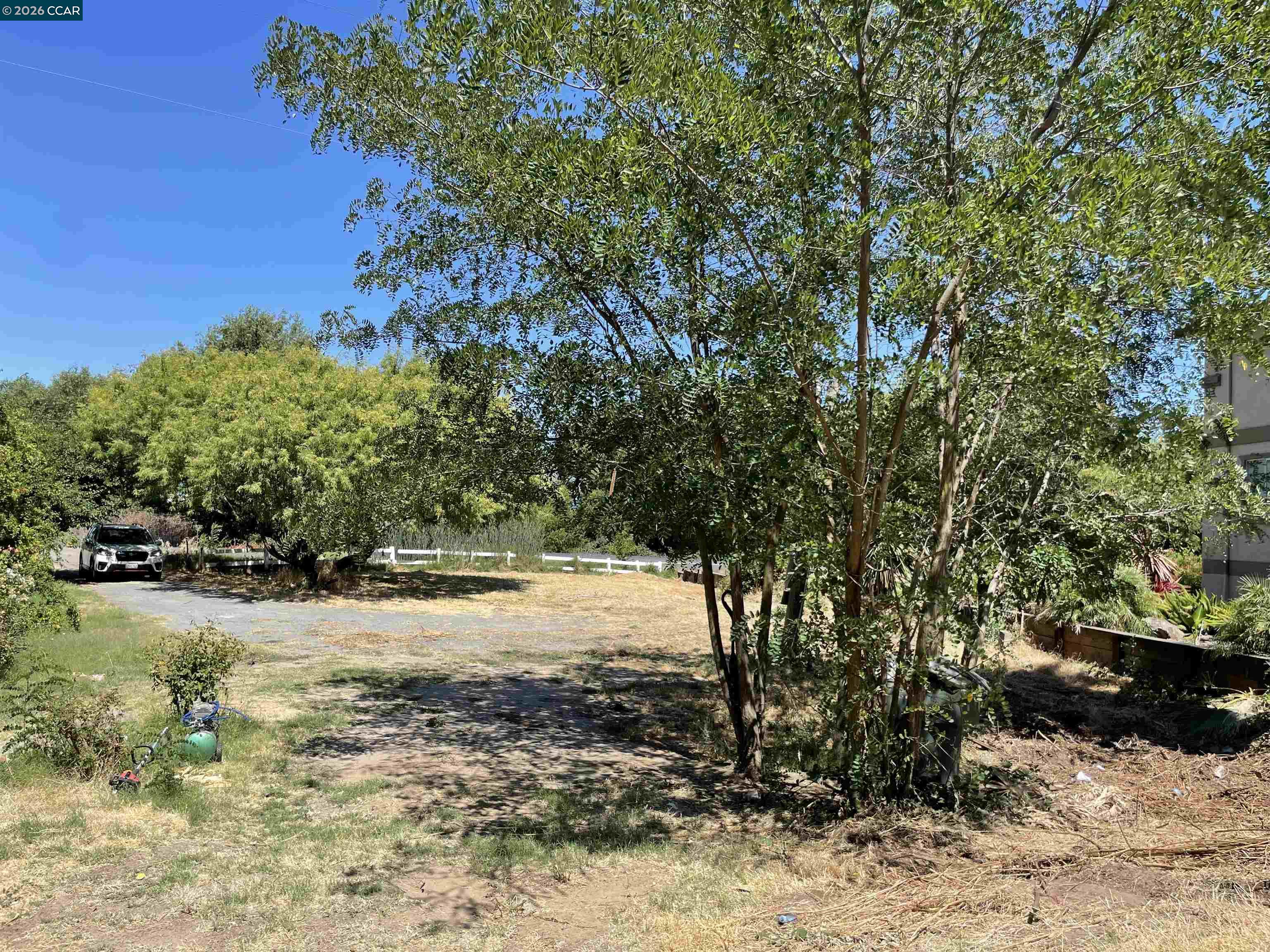 1766 Taylor Road Bethel Island, CA 94511 - Photo 20 of 22 a view of a yard with trees