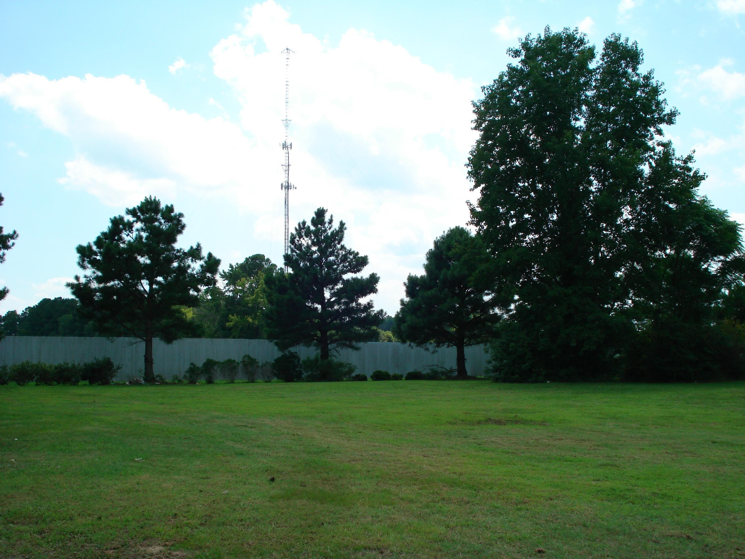 528 Long Branch Road Dunn, NC 28334 - Photo 16 of 27 a view of yard with grass & palm trees