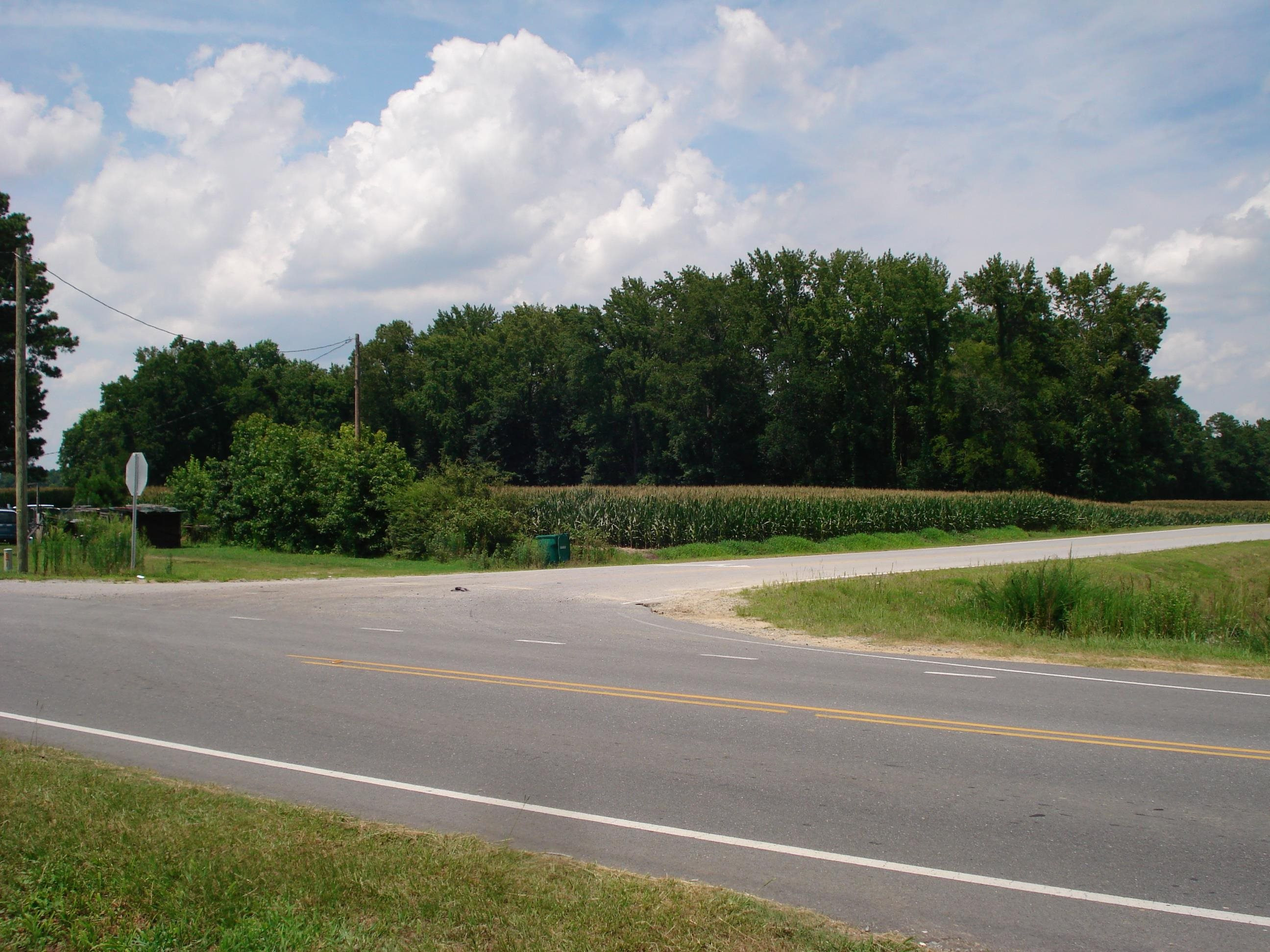 528 Long Branch Road Dunn, NC 28334 - Photo 20 of 27 a view of a yard