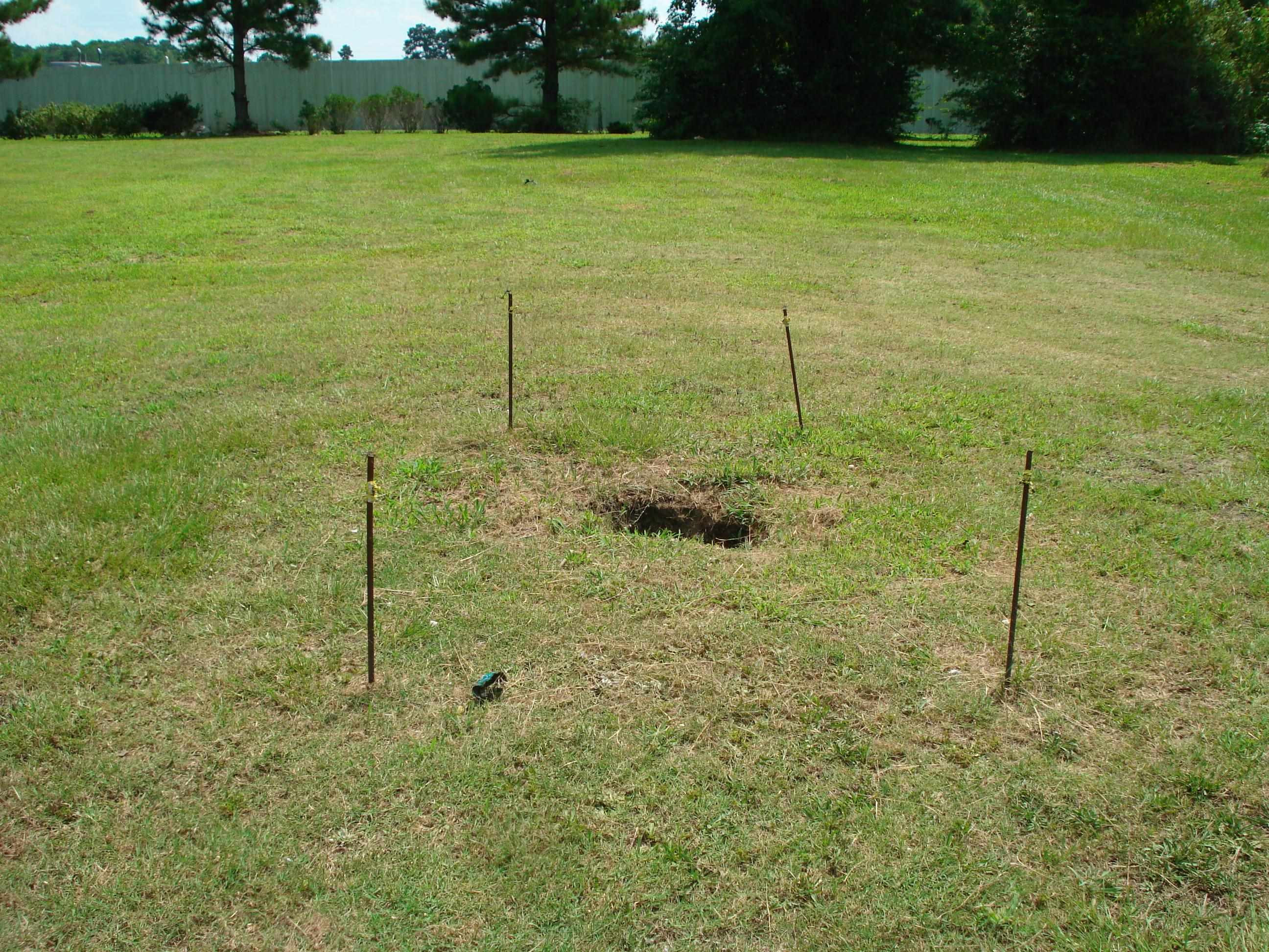 528 Long Branch Road Dunn, NC 28334 - Photo 22 of 27 a backyard of a house with lots of green space and garden