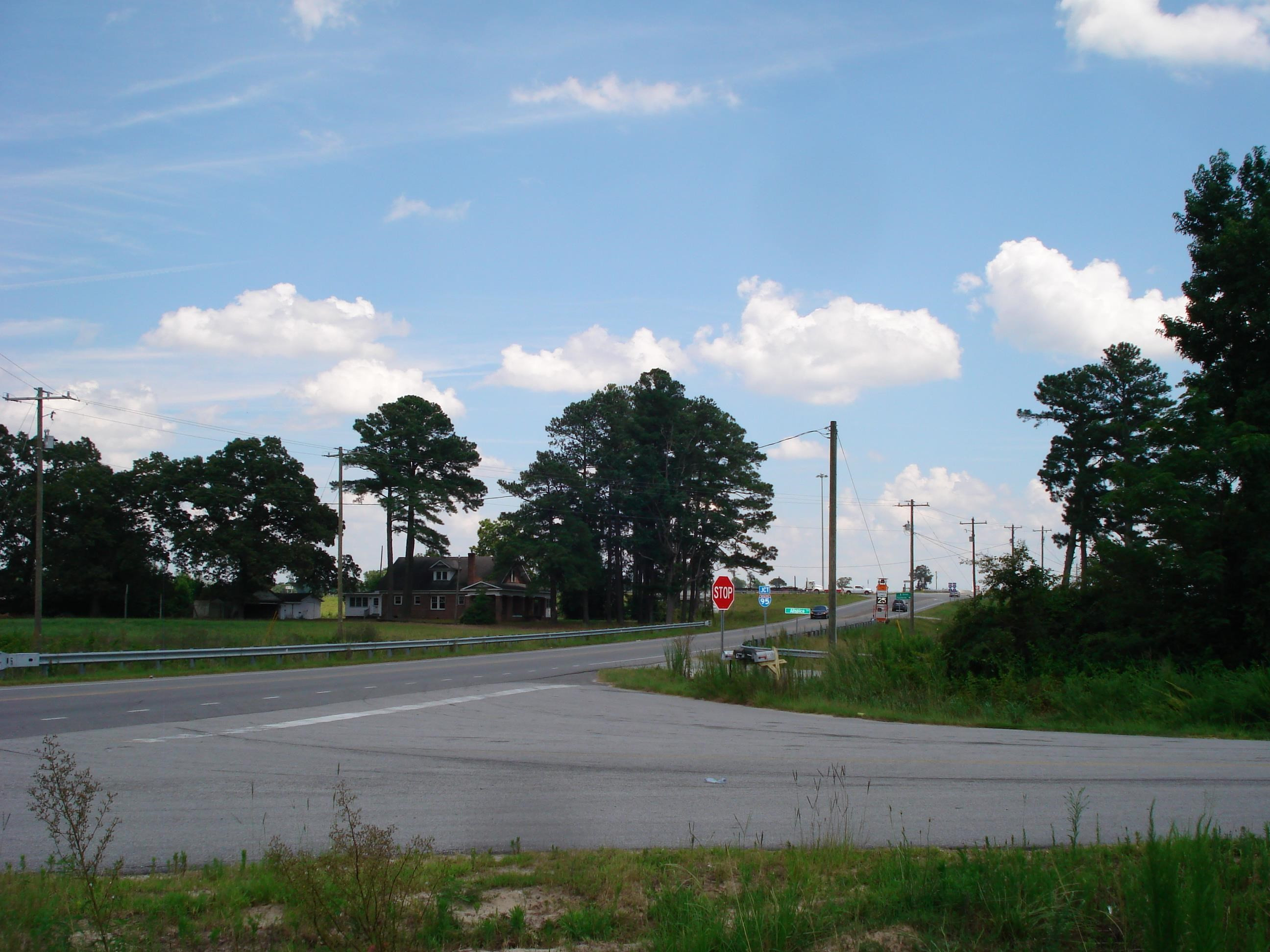 528 Long Branch Road Dunn, NC 28334 - Photo 9 of 27 a view of a golf course with a fountain