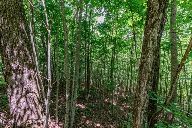 $28,000 | Lot 111 Puett Cove Estates, Marble, NC 28905