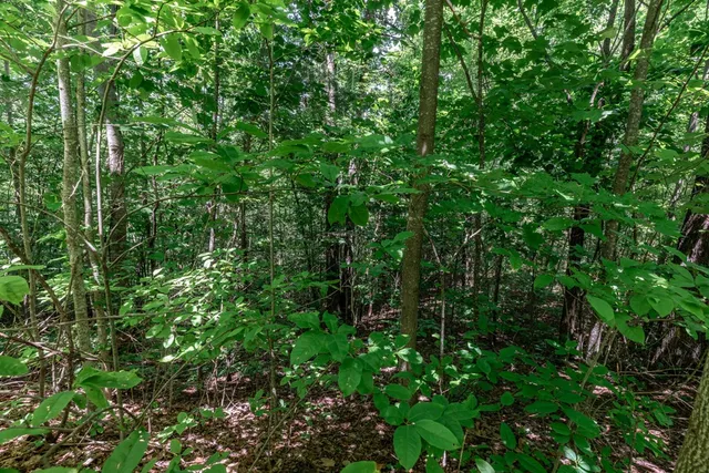 $28,000 | Lot 111 Puett Cove Estates, Marble, NC 28905