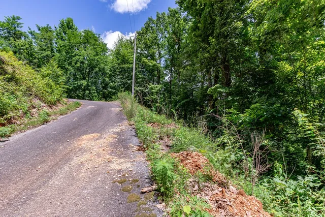$28,000 | Lot 111 Puett Cove Estates, Marble, NC 28905