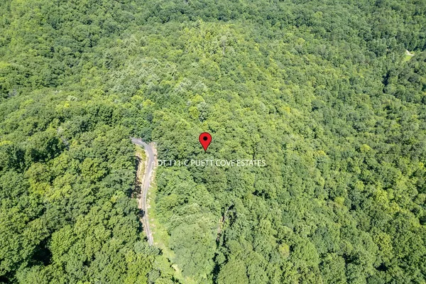 $28,000 | Lot 111 Puett Cove Estates, Marble, NC 28905