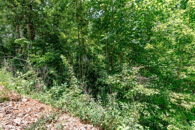 $28,000 | Lot 111 Puett Cove Estates, Marble, NC 28905