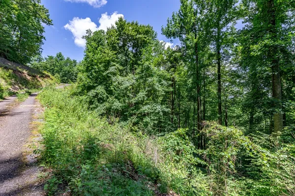$28,000 | Lot 111 Puett Cove Estates, Marble, NC 28905