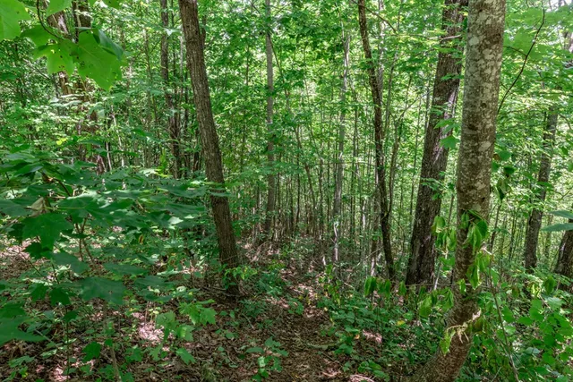 $28,000 | Lot 111 Puett Cove Estates, Marble, NC 28905