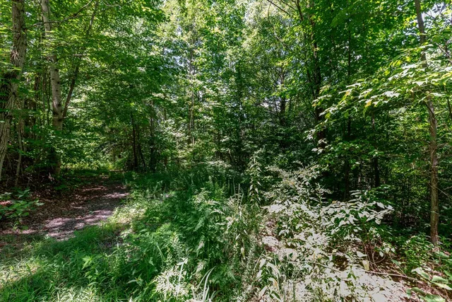 $28,000 | Lot 111 Puett Cove Estates, Marble, NC 28905