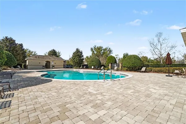 a view of a swimming pool with a yard