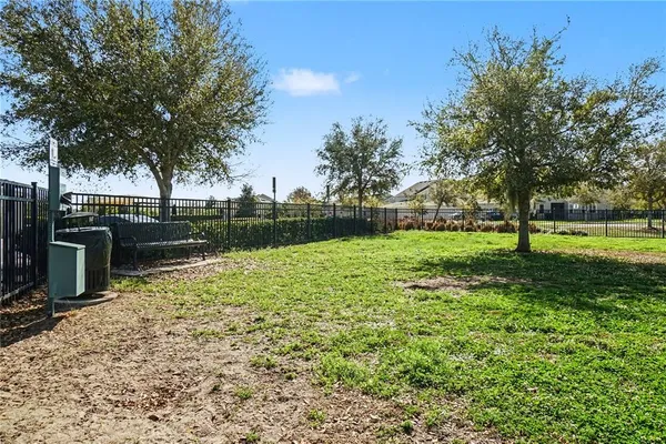 a view of a yard with a large tree