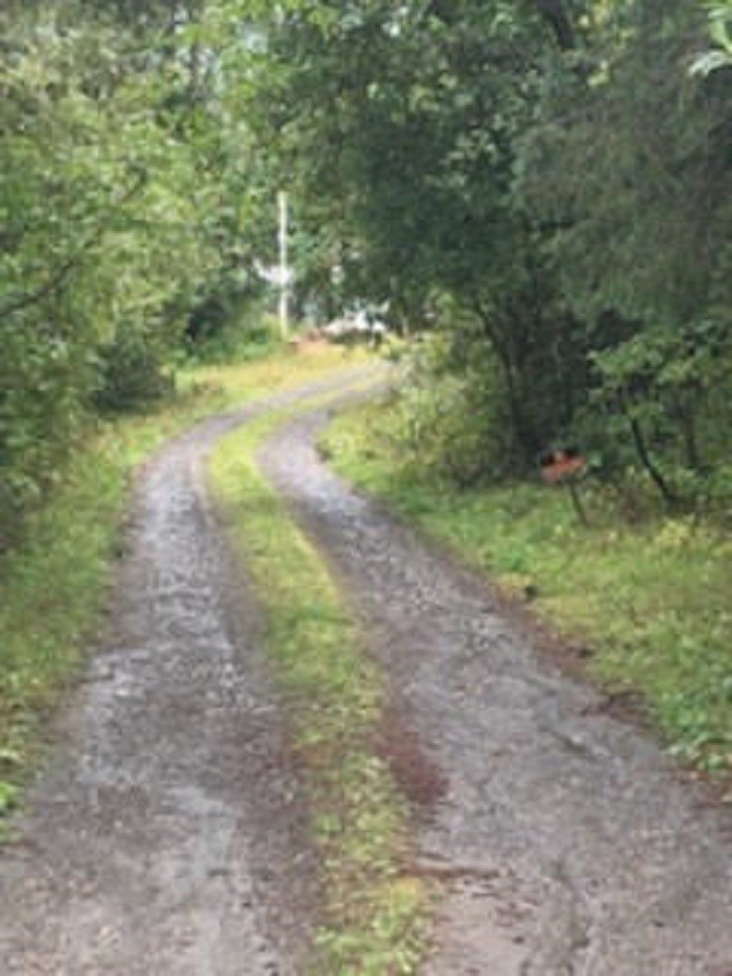 1 Marshall Hill Road Columbia, NH 03576 - Photo 6 of 6 Gallery Image 6