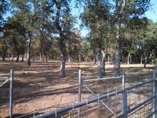 8912 Bass Pond Road Millville, CA 96062 - Photo 3 of 55 Entry Yard 2