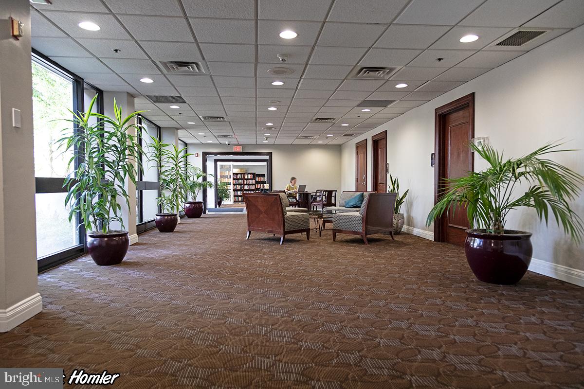2001 Hamilton Street, Unit 2016 Philadelphia, PA 19130 - Photo 19 of 41 a living room with furniture and a potted plant