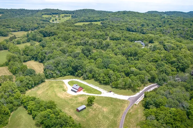 a view of a forest with a houses