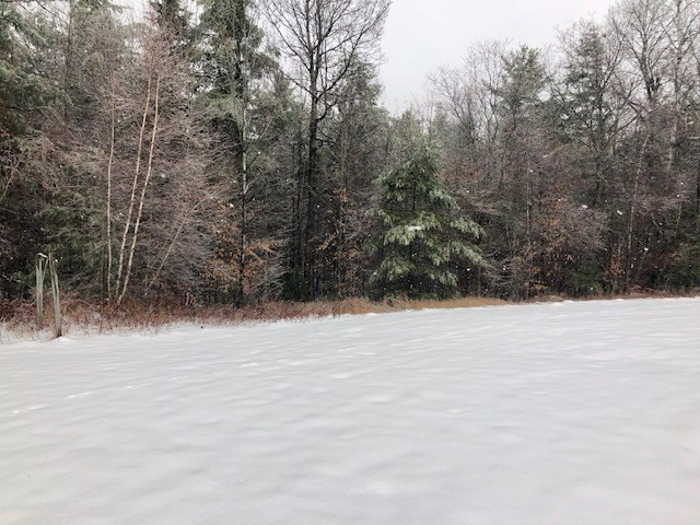 66 Lamora Road Saranac, NY 12981 - Photo 14 of 14 Gallery Image 14