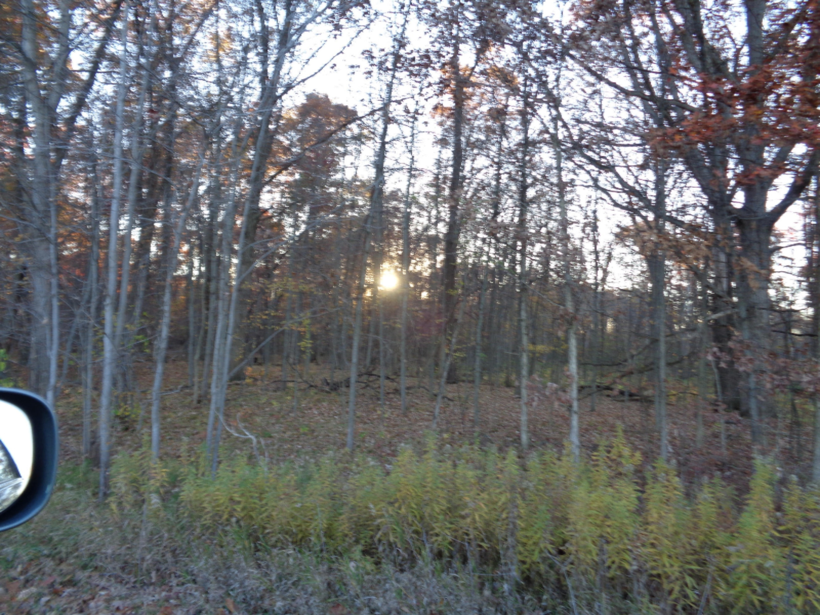 9642 South Meridian Road Clarklake, MI 49234 - Photo 1 of 1 us-127 010