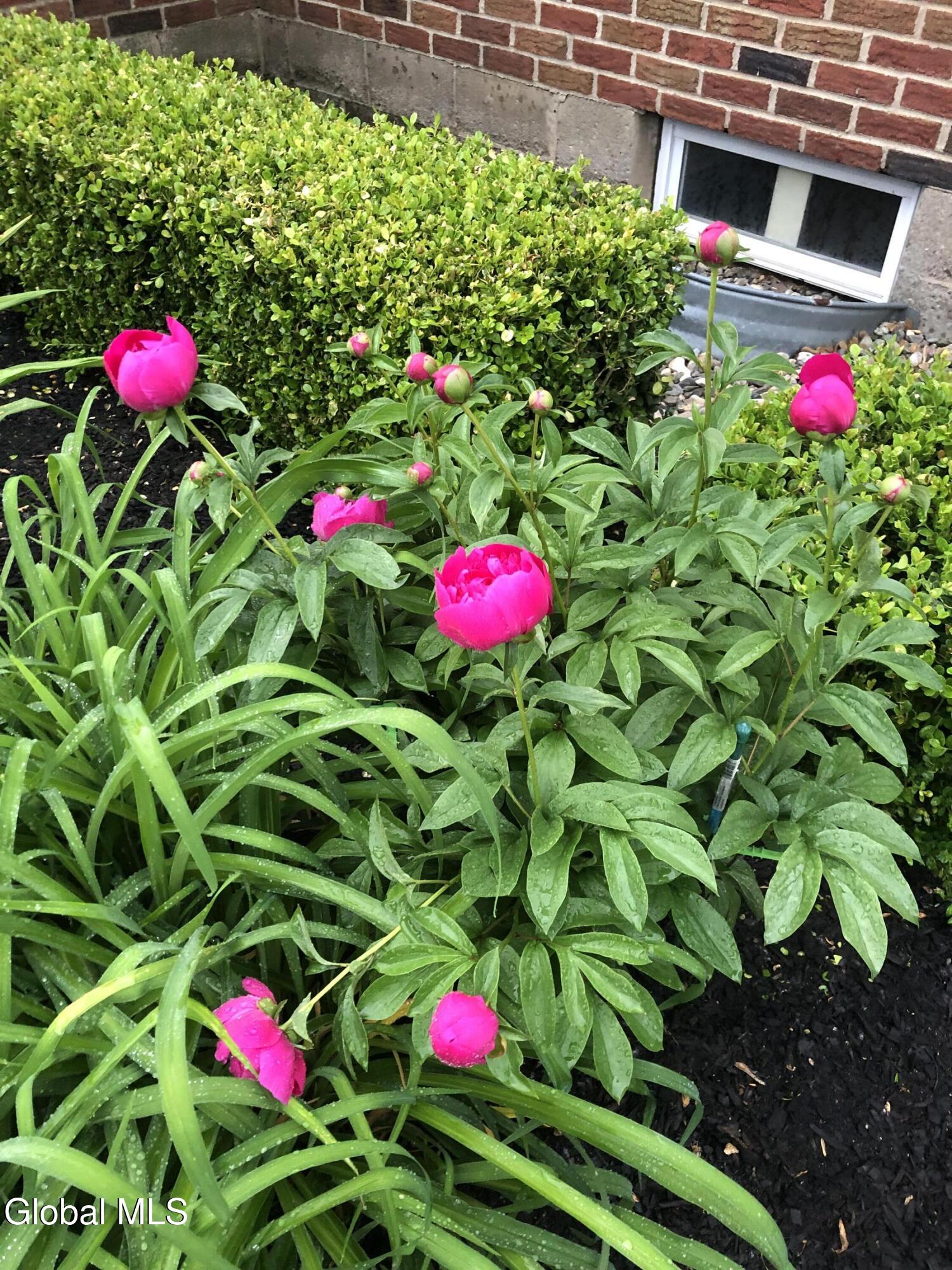 1022 Day Road Schenectady, NY 12303 - Photo 26 of 28 IMG_0655