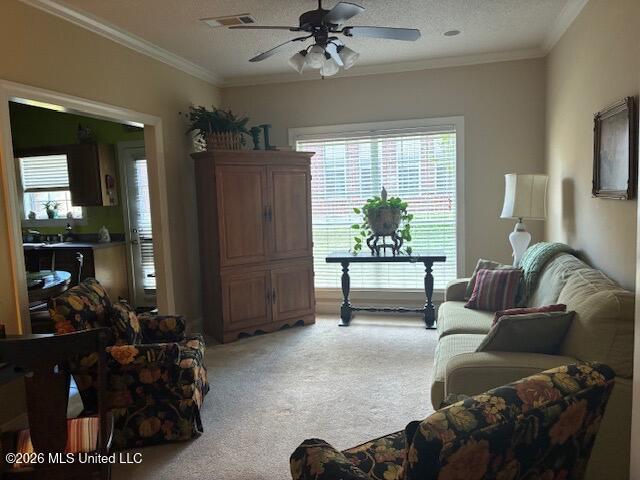 1211 Azalea Cove Oxford, MS 38655 - Photo 11 of 22 Azalea3