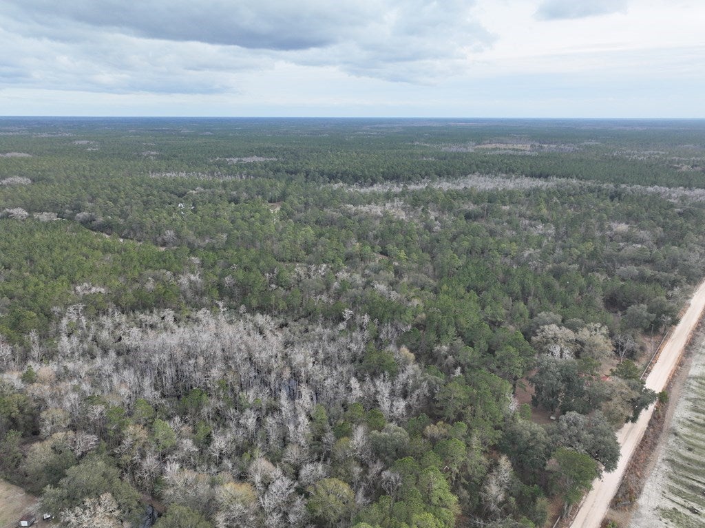 Tbd Northwest Register Road Lakeland, GA 31635 - Photo 19 of 21 Gallery Image 19