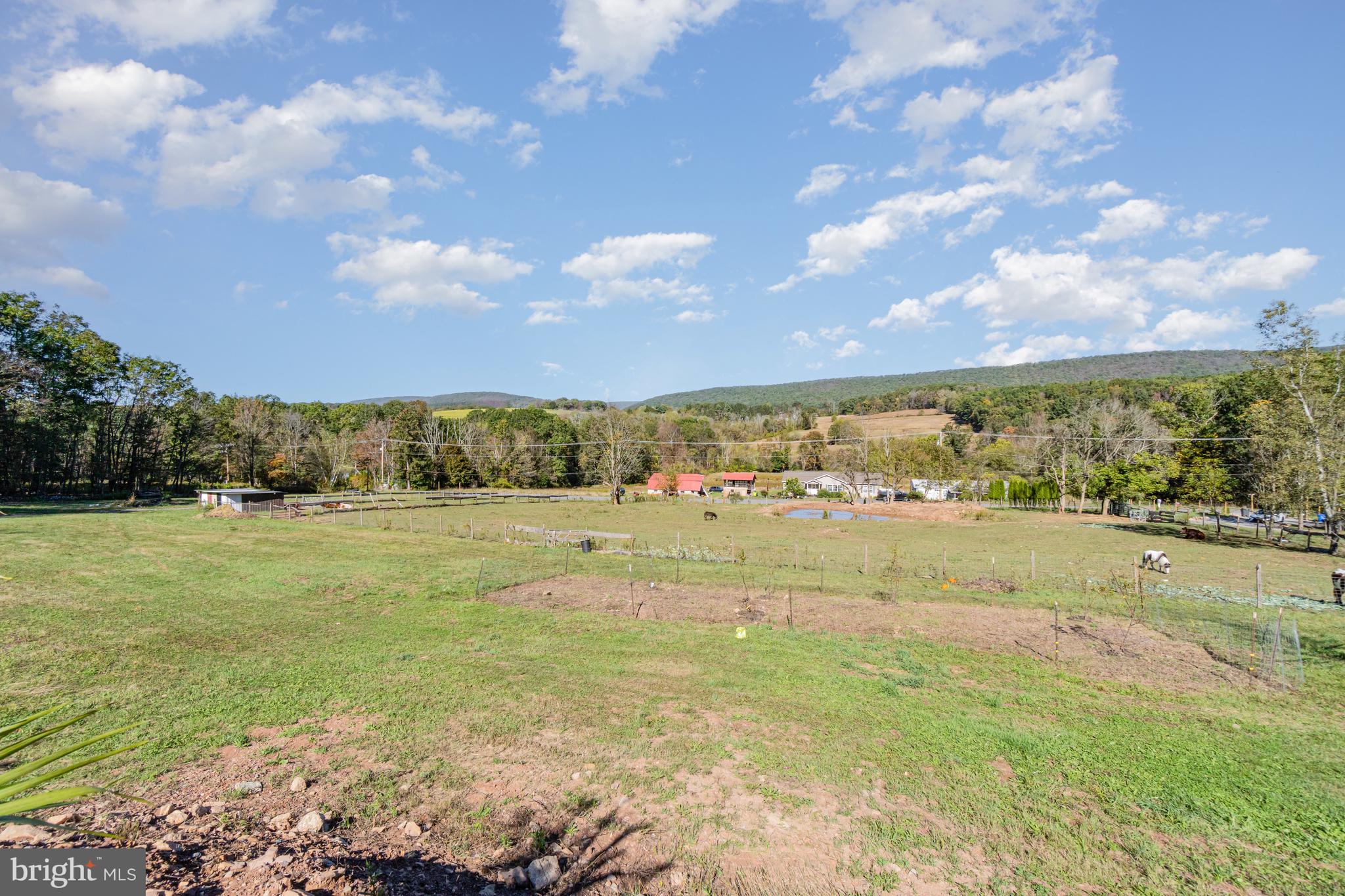 132 Turnpike Road Ashland, PA 17921 - Photo 5 of 20 a view of an outdoor space and yard