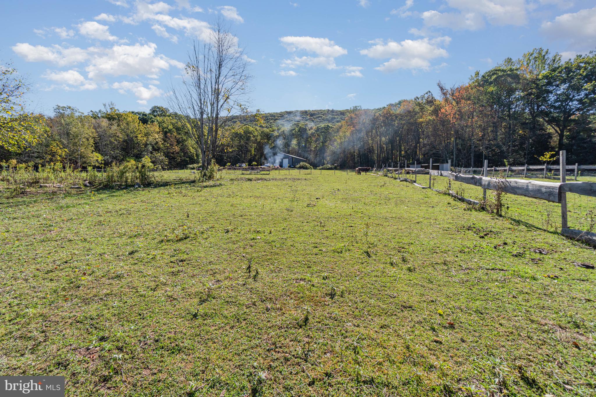 132 Turnpike Road Ashland, PA 17921 - Photo 8 of 20 a view of backyard with large tree