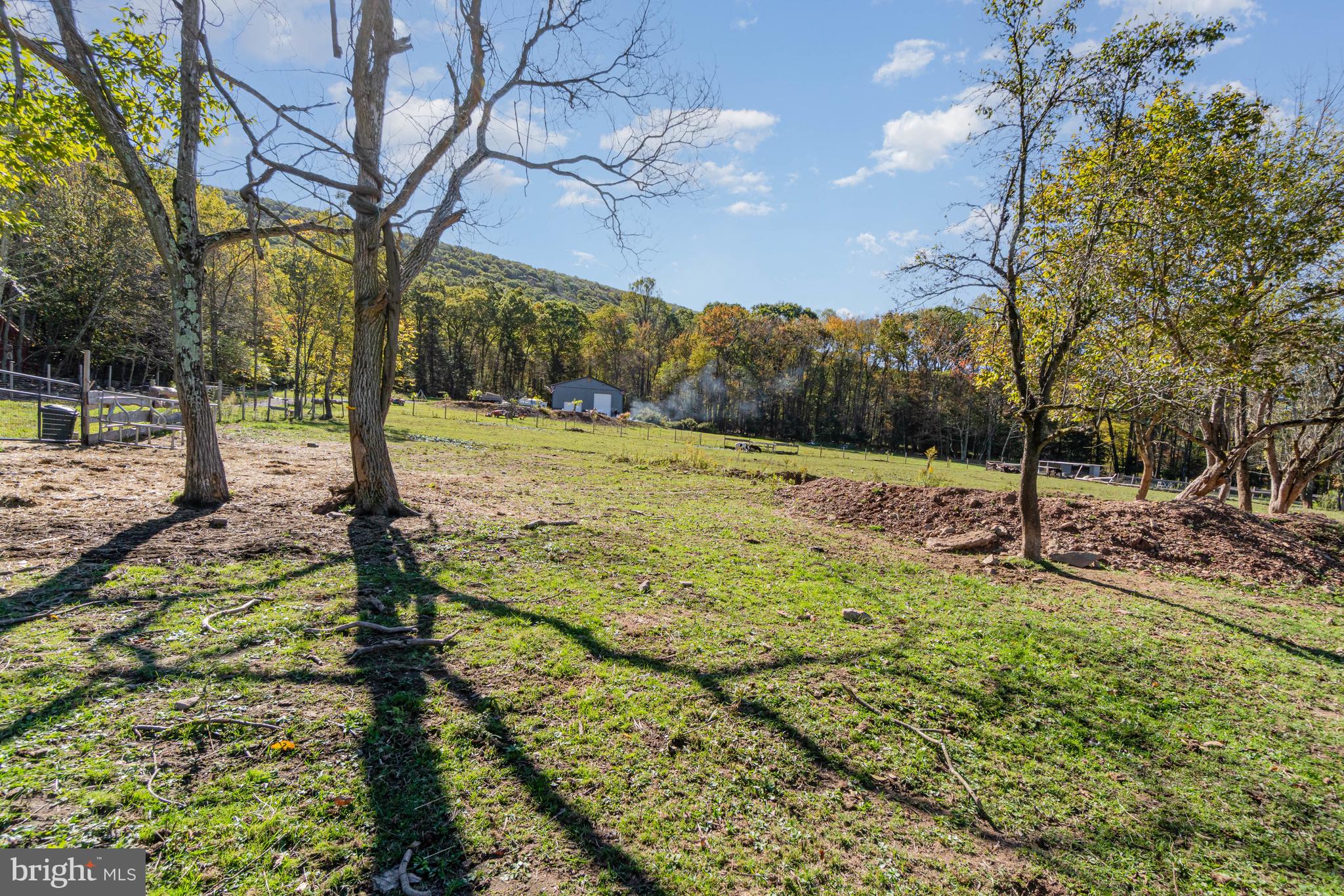 132 Turnpike Road Ashland, PA 17921 - Photo 9 of 20 a view of a field with a tree