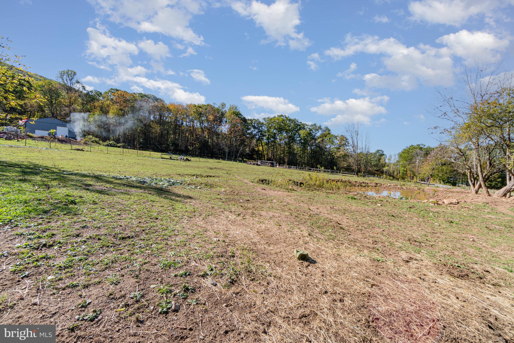 132 Turnpike Road Ashland, PA 17921 - Photo 10 of 20 a view of a yard with an trees