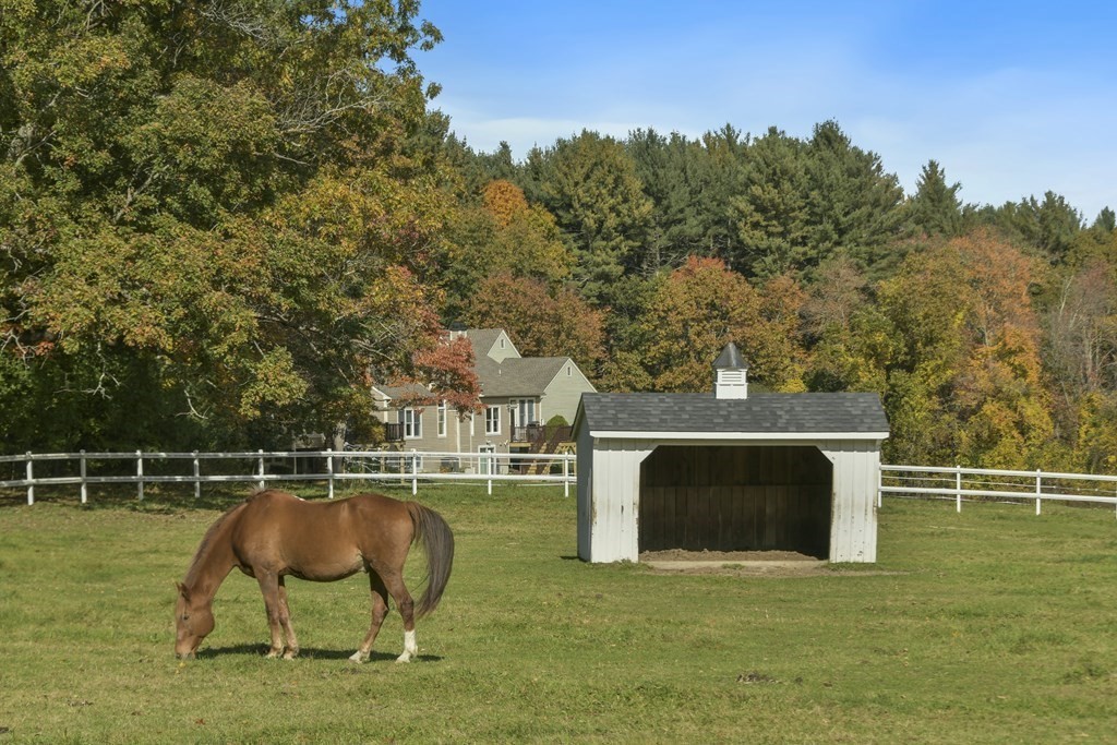 7 Moore Circle, Unit 7 Bedford, MA 01730 - Photo 25 of 27 a garden view with a seating space