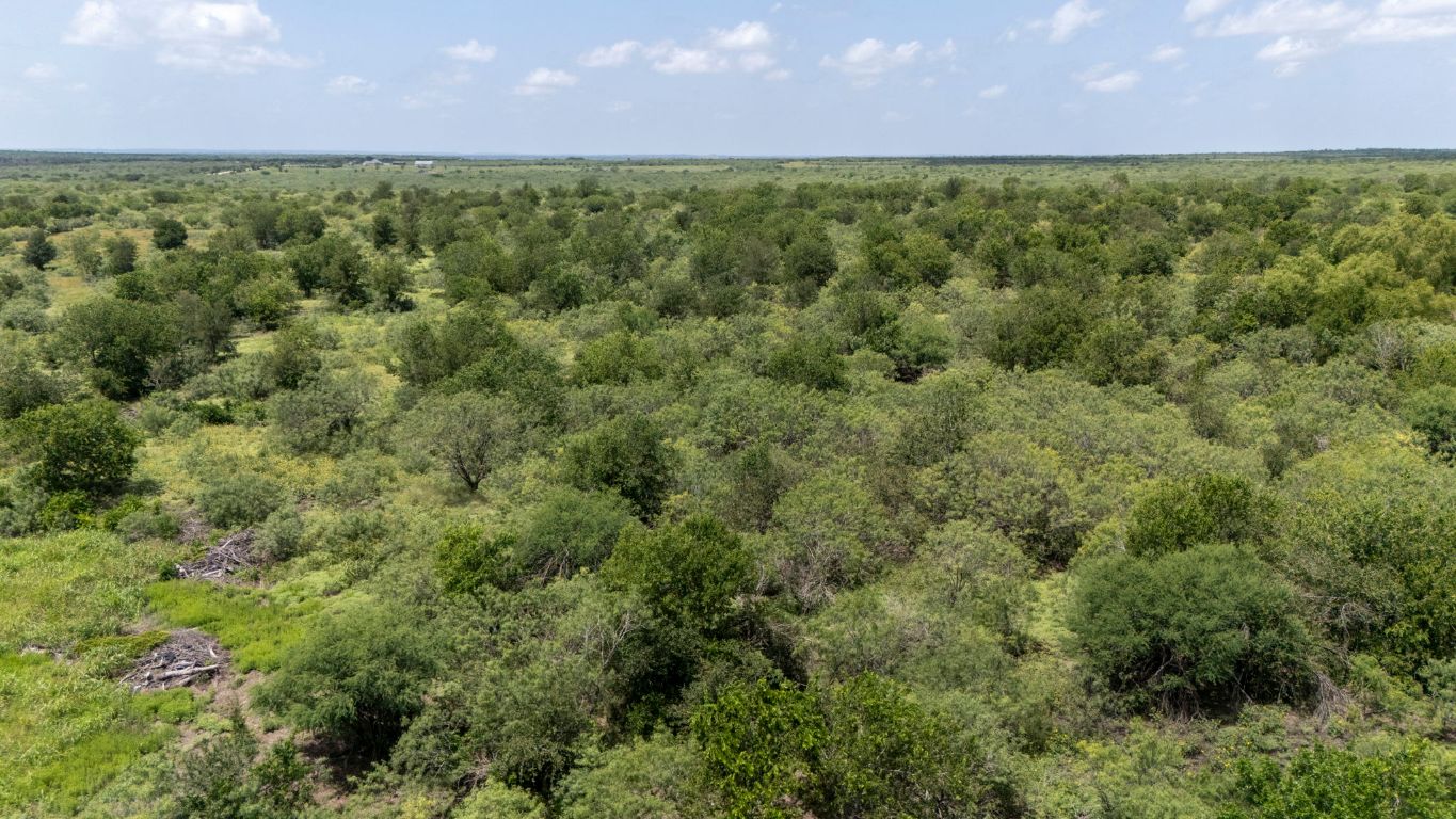 285 Tower Road Lockhart, TX 78644 - Photo 6 of 7 an aerial view of a house with a yard and mountain view in back