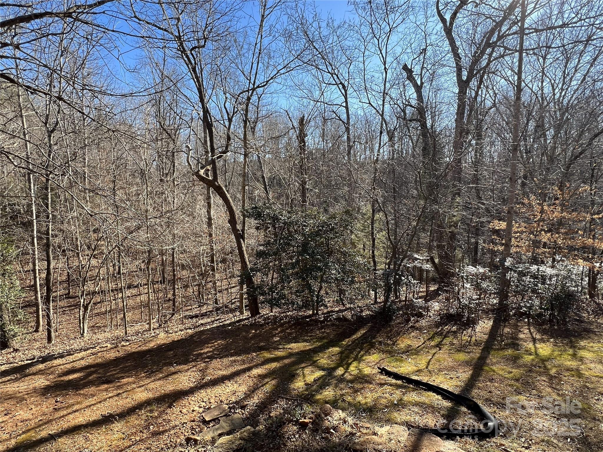 159 Wild Cherry Lane Rutherfordton, NC 28139 - Photo 45 of 48 Gallery Image 45