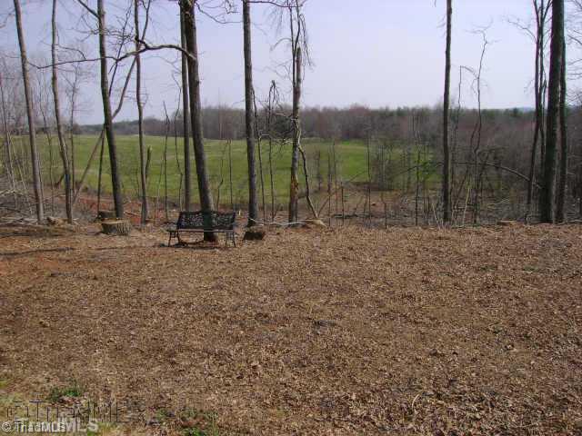 Xx CC Camp Road Elkin, NC 28621 - Photo 3 of 9 Land.