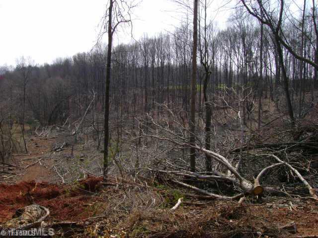 Xx CC Camp Road Elkin, NC 28621 - Photo 5 of 9 Land/Lot.