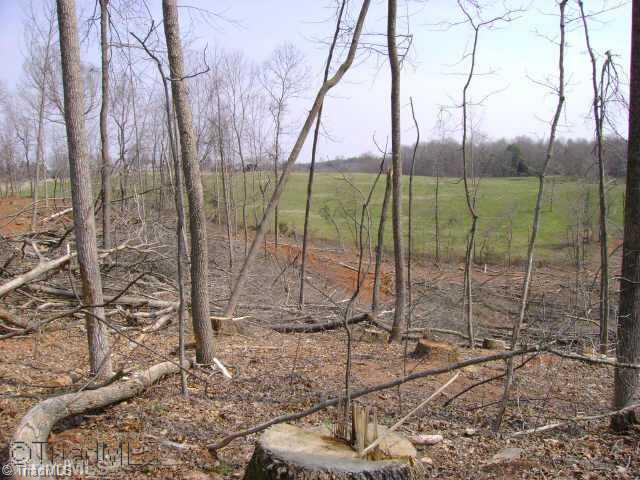 Xx CC Camp Road Elkin, NC 28621 - Photo 6 of 9 Land.