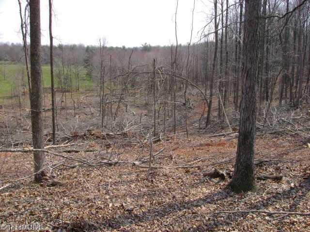 Xx CC Camp Road Elkin, NC 28621 - Photo 7 of 9 Land.